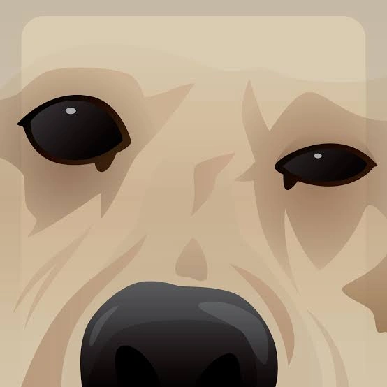 Dog PFP