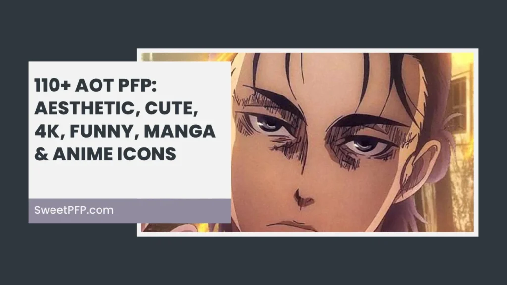 AOT PFP