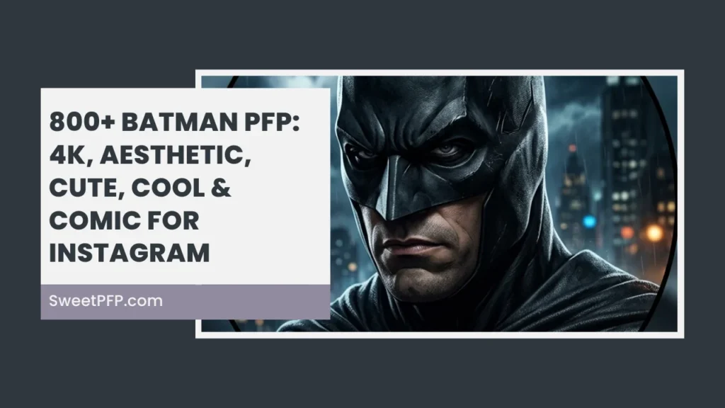 Batman PFP