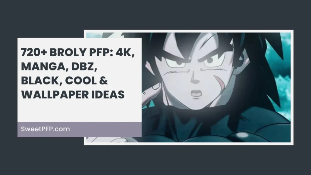Broly PFP
