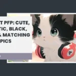 Cat PFP