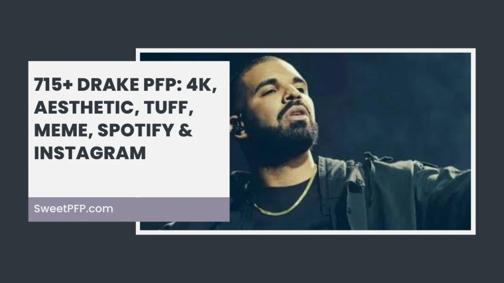 Drake PFP