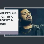 Drake PFP