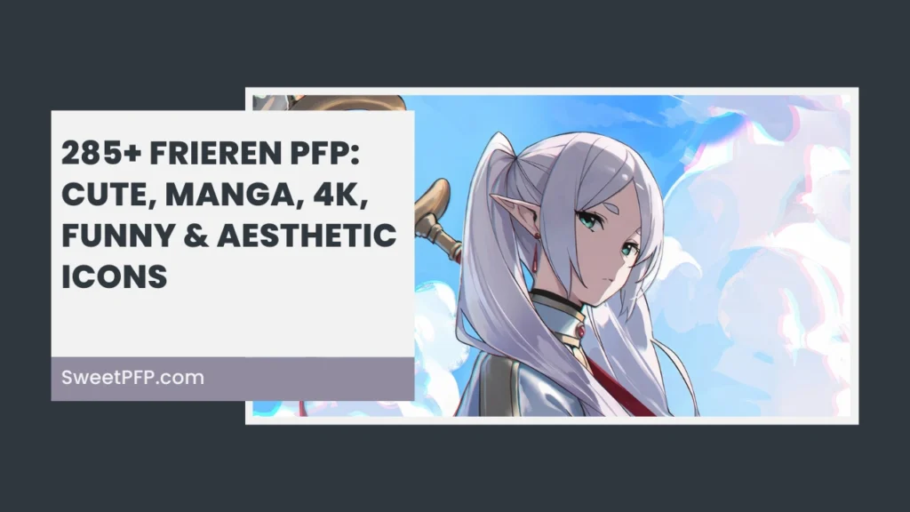Frieren PFP