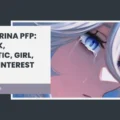 Furina PFP