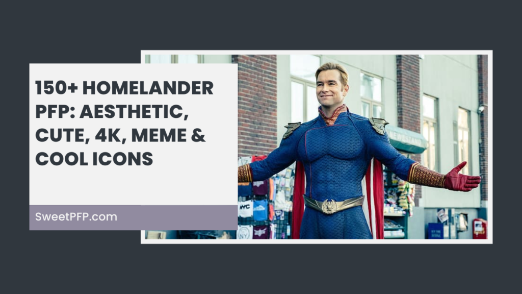 Homelander PFP