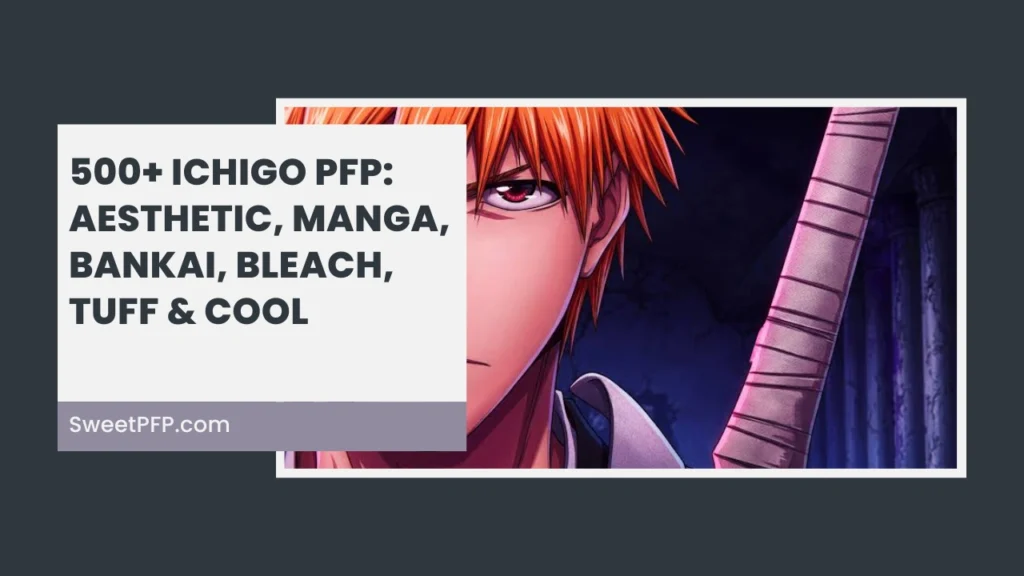 Ichigo PFP