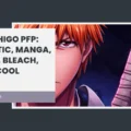 Ichigo PFP