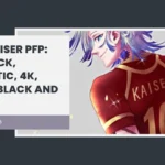 Kaiser PFP