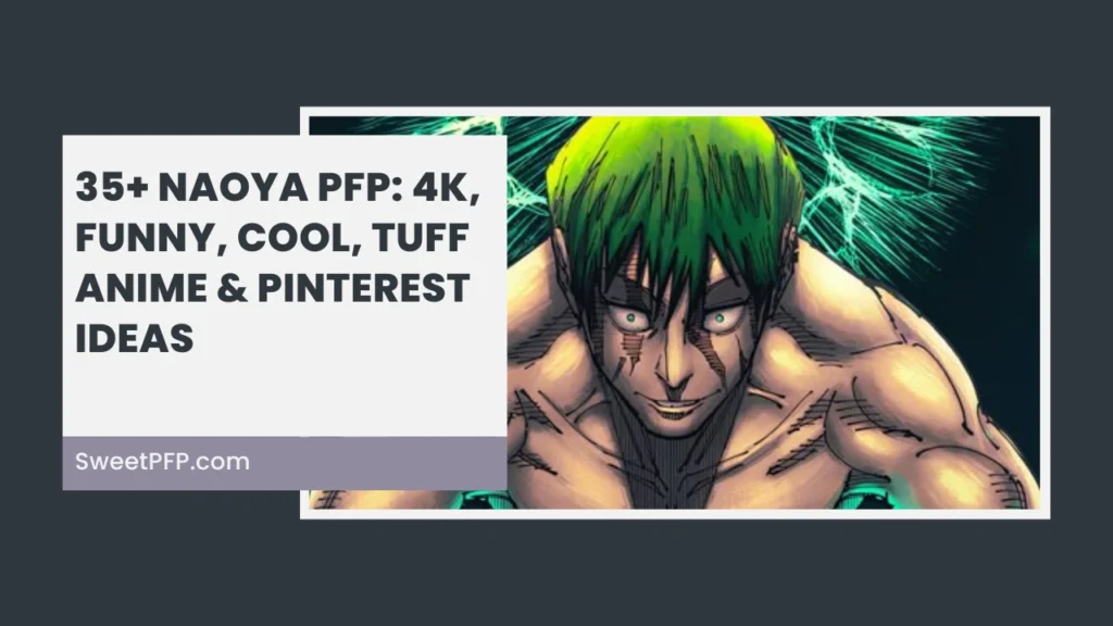 Naoya PFP