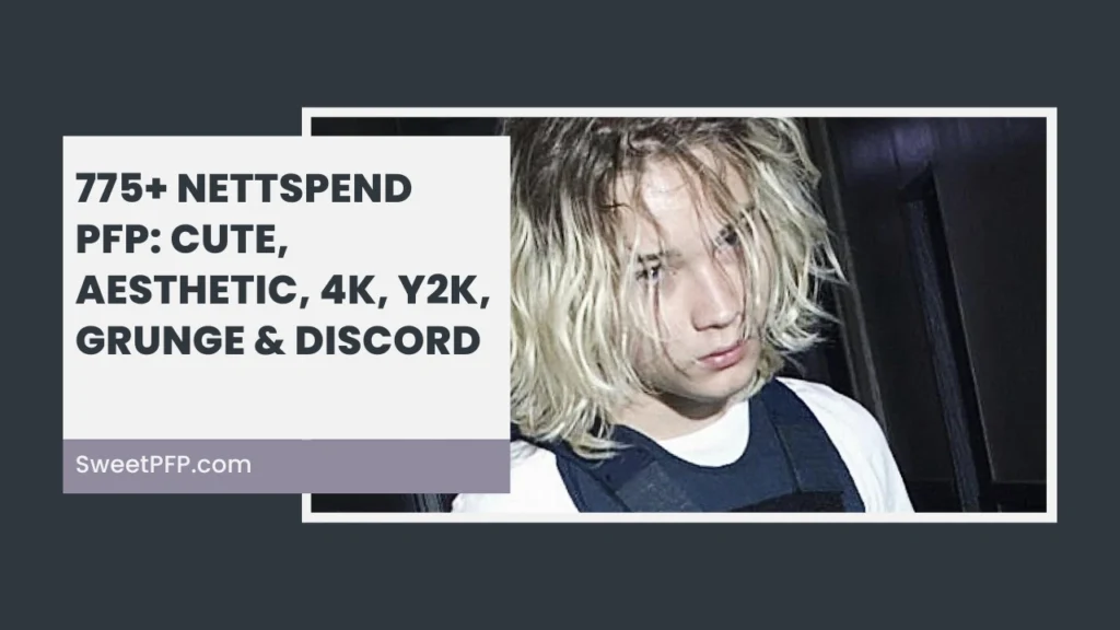 Nettspend PFP