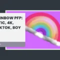 Rainbow PFP