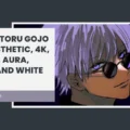 Satoru Gojo PFP