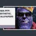 Sigma PFP