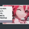Teto PFP