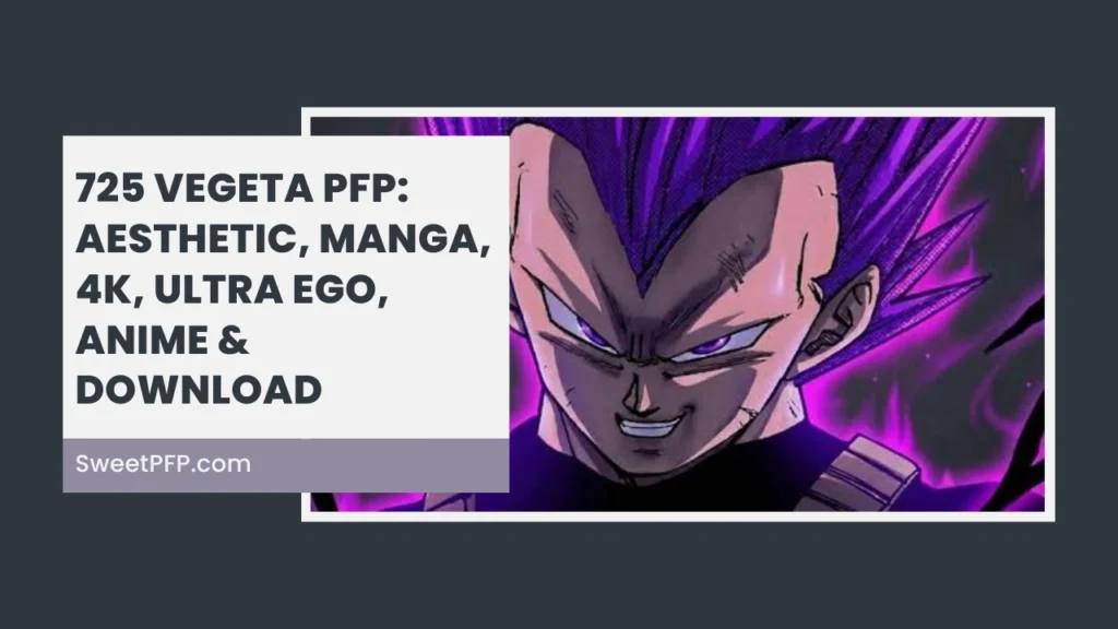 Vegeta PFP