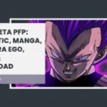 Vegeta PFP