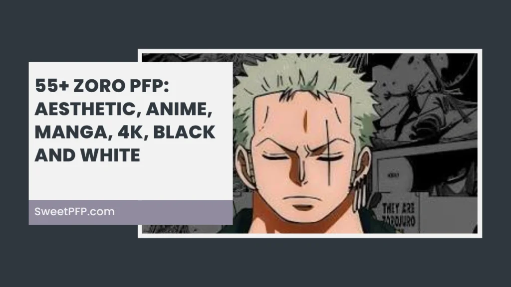 Zoro PFP