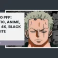 Zoro PFP